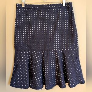 Ann Taylor Eyelet Skirt Size 10P